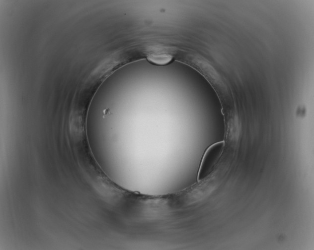 X0000096730426200802051445