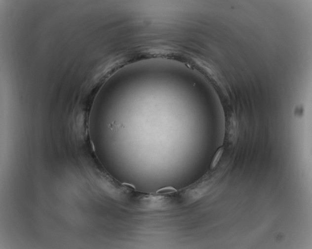 X0000096730428200802051445