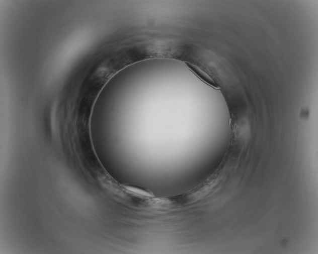 X0000096730429200802051445
