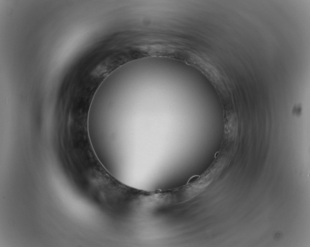 X0000096730430200802051445
