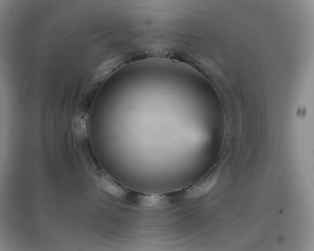 X0000096730432200802051445