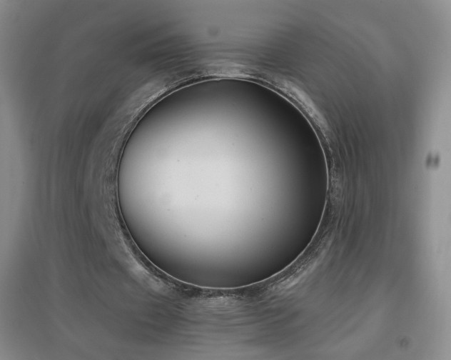 X0000096730433200802051444