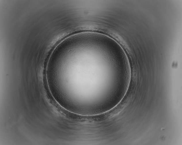 X0000096730434200802051444