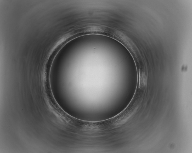 X0000096730435200802051444