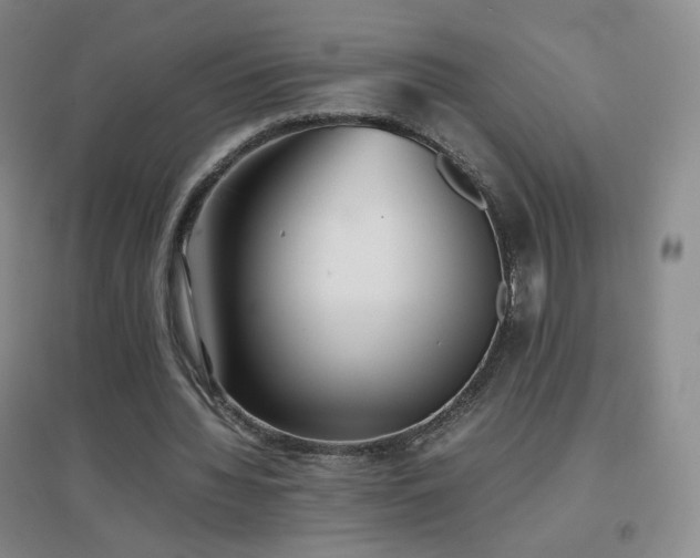 X0000096730436200802051444