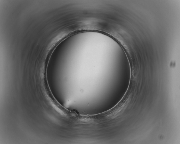 X0000096730437200802051444