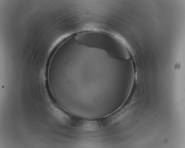 X0000096730438200802051444