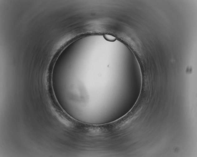 X0000096730439200802051444