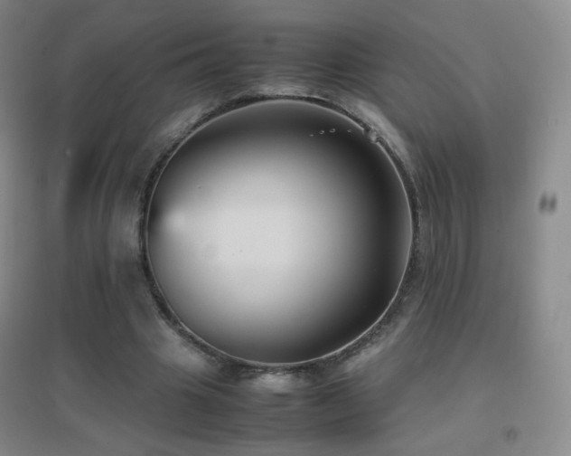 X0000096730441200802051444