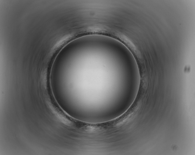 X0000096730442200802051444