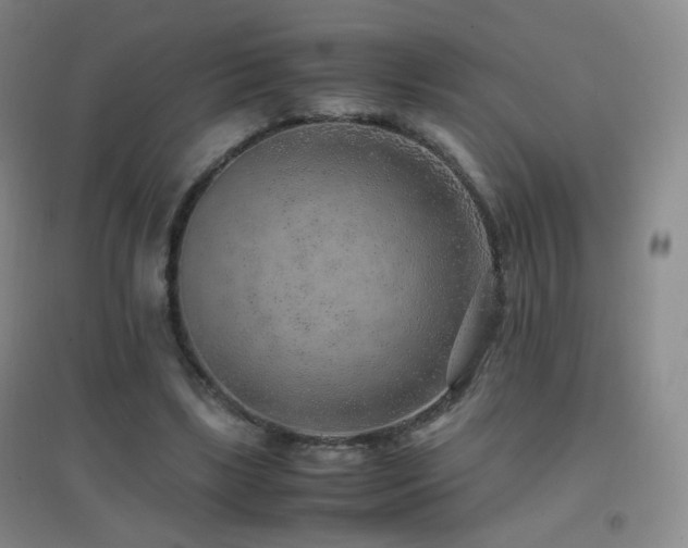 X0000096730443200802051444