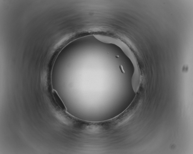 X0000096730444200802051444