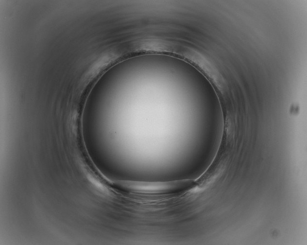 X0000096730445200802051444