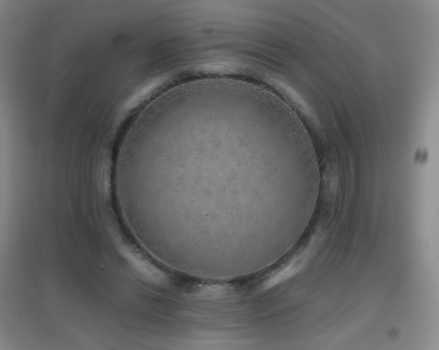 X0000096730446200802051444