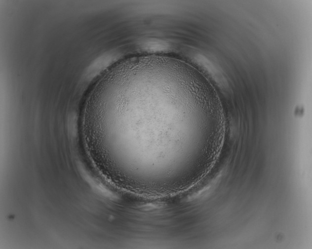 X0000096730447200802051444