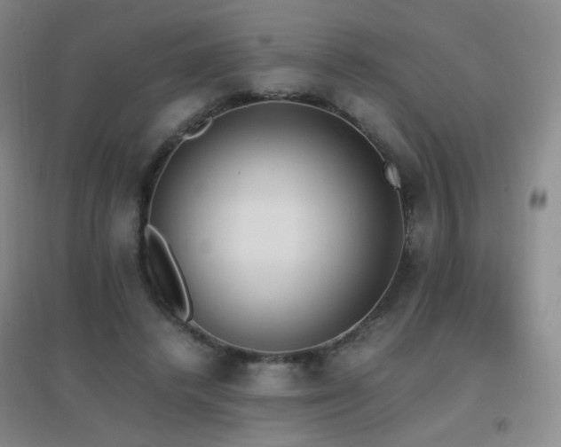 X0000096730448200802051444