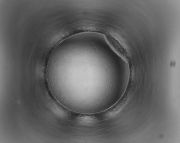 X0000096730449200802051444