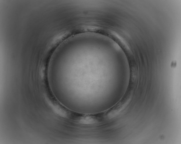 X0000096730451200802051444