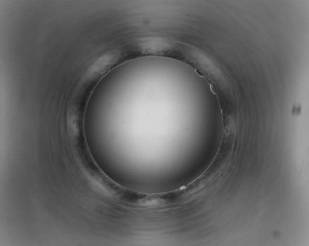 X0000096730452200802051444