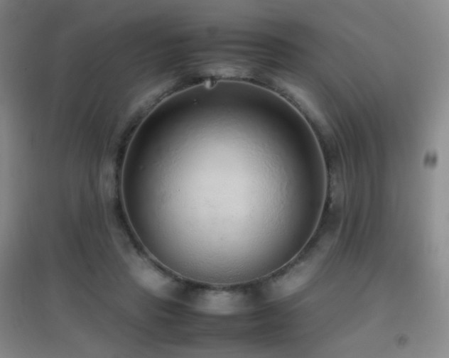 X0000096730453200802051444