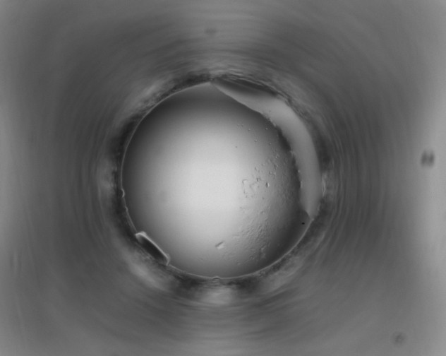 X0000096730456200802051444