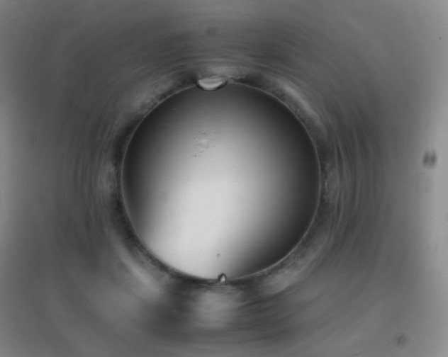 X0000096730459200802051444
