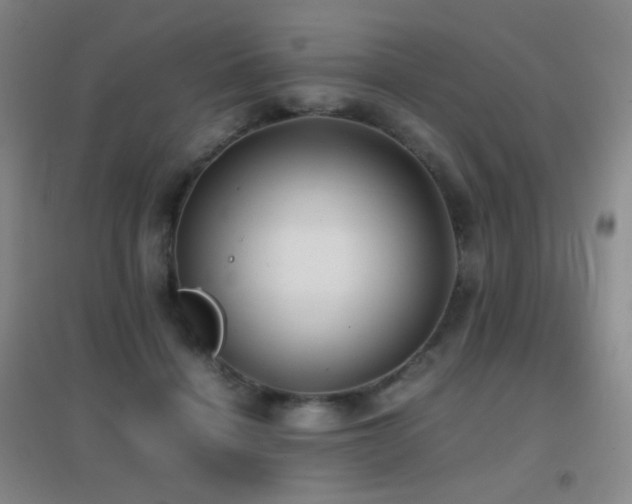 X0000096730460200802051444