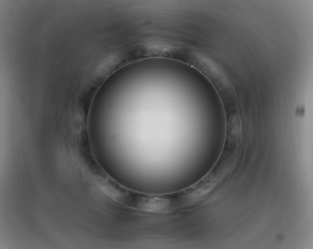 X0000096730463200802051444