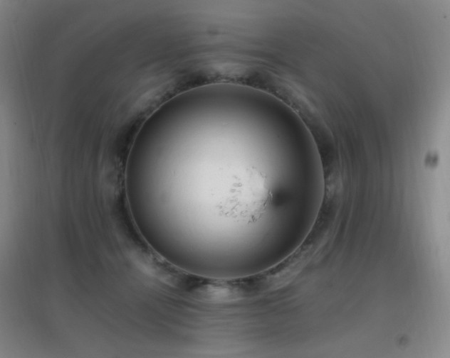 X0000096730464200802051444