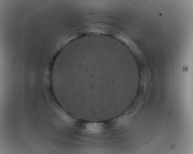 X0000096730465200802051444