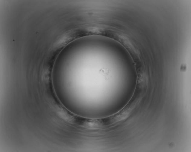 X0000096730466200802051444