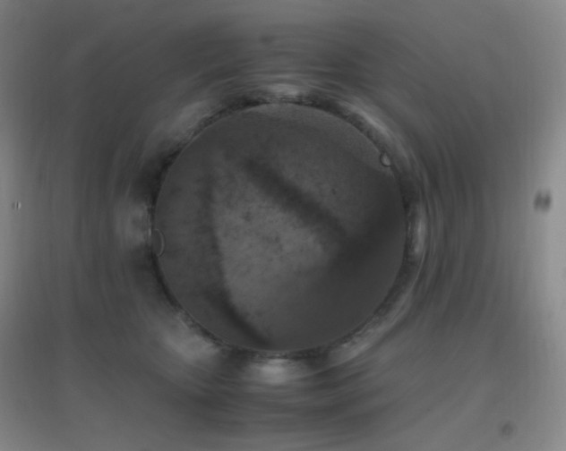 X0000096730467200802051444