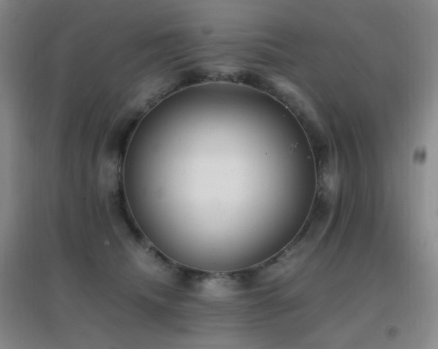 X0000096730468200802051444