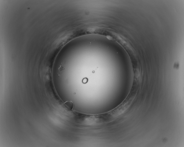 X0000096730470200802051444
