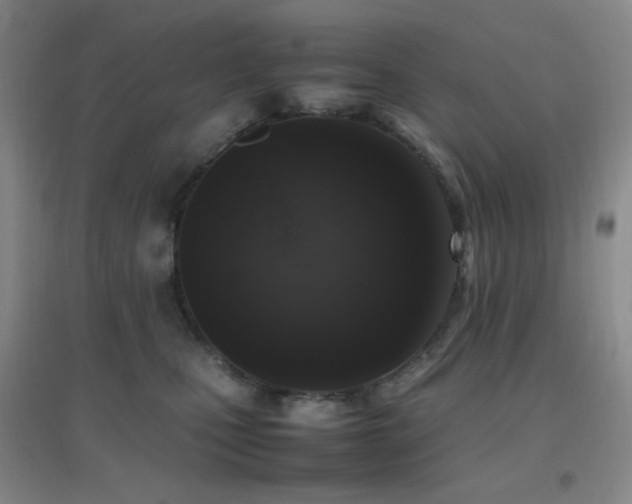X0000096730471200802051444