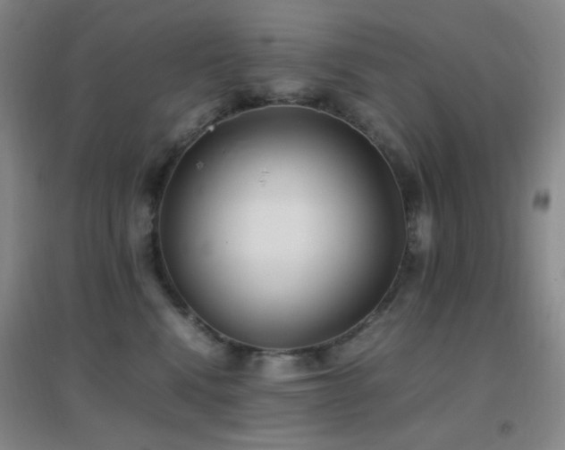 X0000096730472200802051444