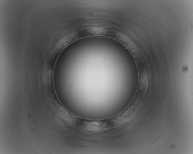 X0000096730473200802051444