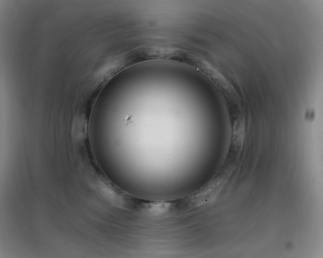 X0000096730474200802051444