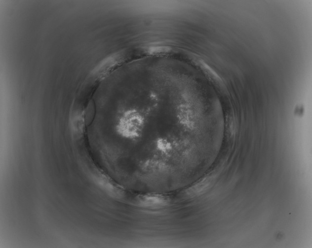 X0000096730475200802051444