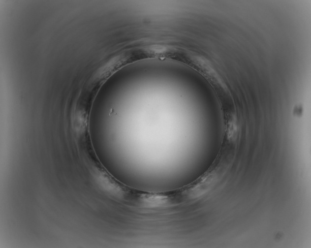 X0000096730476200802051444