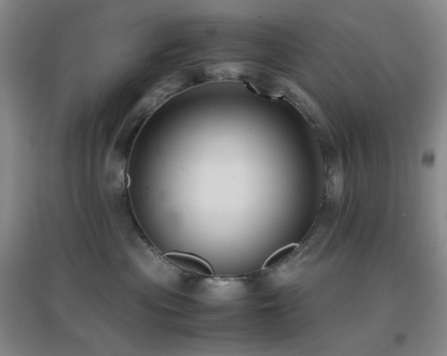 X0000096730477200802051444