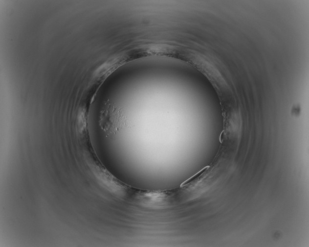 X0000096730478200802051445