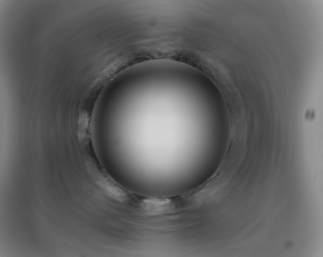 X0000096730480200802051445