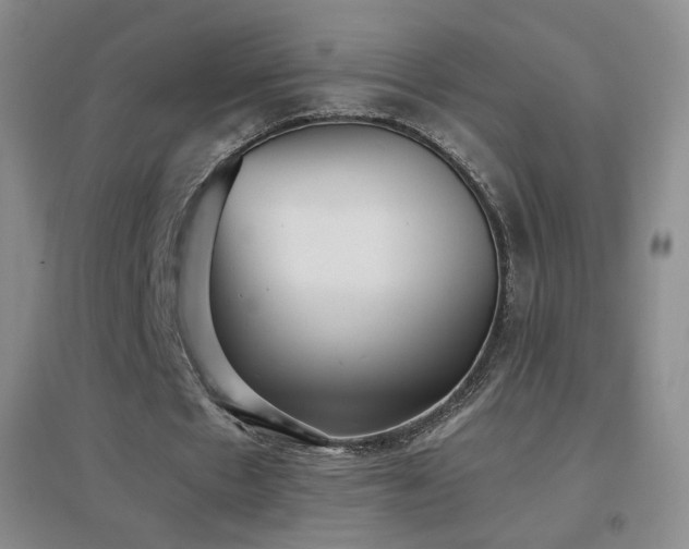 X0000096730481200802051444