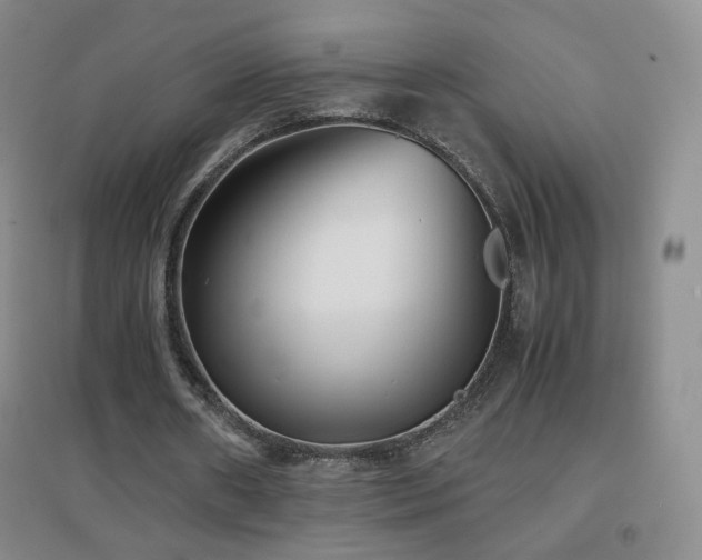 X0000096730482200802051444