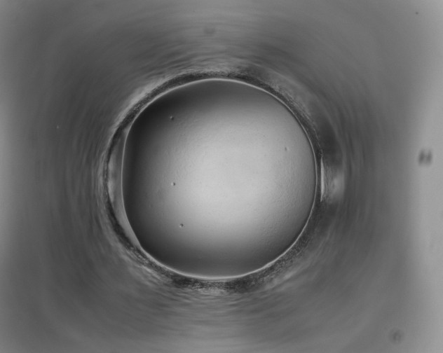X0000096730483200802051444
