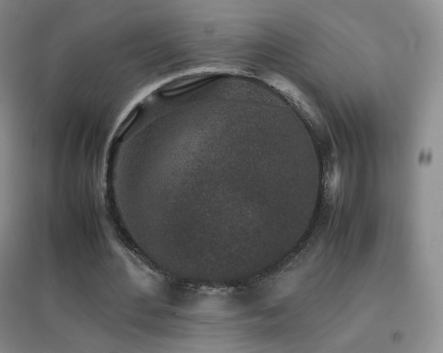 X0000096730484200802051444