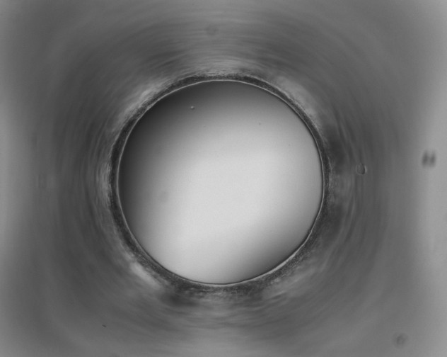 X0000096730485200802051444