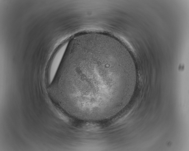 X0000096730487200802051444