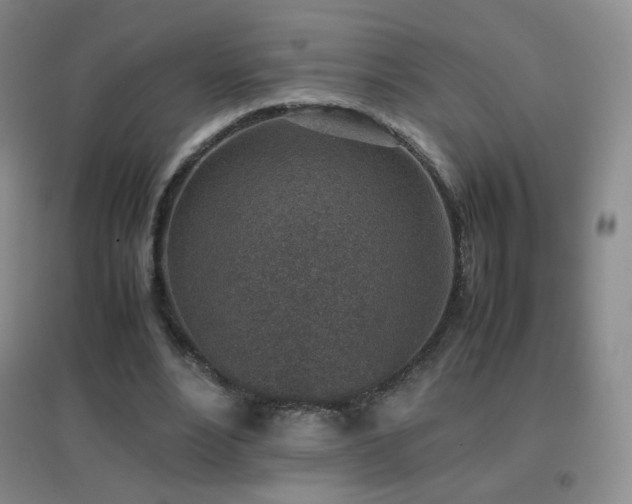 X0000096730488200802051444